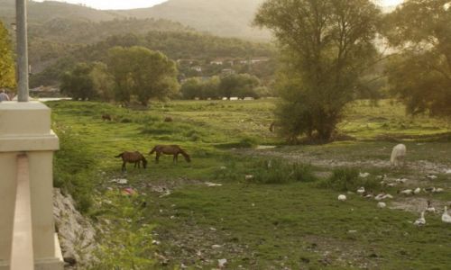 Zdjecie ALBANIA / pnoc / Szkoder, Bajram Curri, Valbna / albania