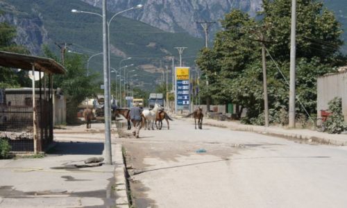 Zdjecie ALBANIA / pnoc / Bajram Curr / Bajram Curri