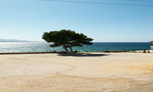 Zdjęcie ALBANIA / Wybrzeże Jońskie / Seranda / betonowa plaża