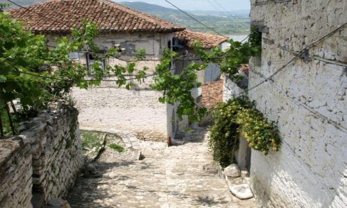 Zdjecie ALBANIA / Berat / Berat / Berat