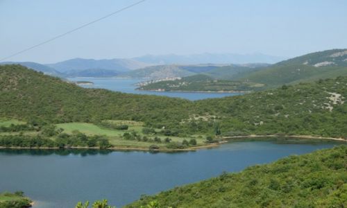 Zdjcie ALBANIA / okolice Szkodry / Koman / Jezioro Koman