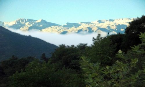 Zdjcie ALBANIA / Okolice wsi Benje / Prawy brzeg Rruga e Benjes / Otulina