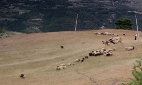 Zdjcie ALBANIA / - / Glava / Albaskie klimaty 5