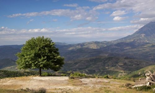 Zdjcie ALBANIA / - / Glava / Albaskie klimaty 6