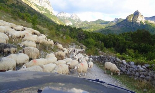 Zdjcie ALBANIA / Gry przeklte /  Okolice Theth /  Pierwszestwo w grach