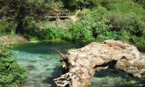 Zdjcie ALBANIA / - / Blue eye / Syri i Kalter