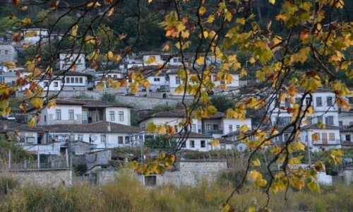 Zdjęcie ALBANIA / Berat / Berat-Gorica / Miasto i liście
