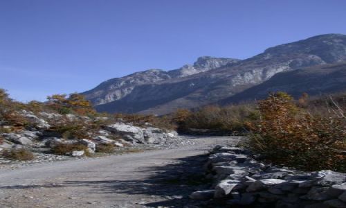 Zdjęcie ALBANIA / brak / okolice Koplika / Dróżka górska