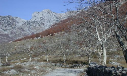 Zdjęcie ALBANIA / brak / okolice Koplika / Jesień w górach