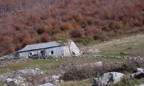 Zdjęcie ALBANIA / brak / okolice Koplika / Chatka