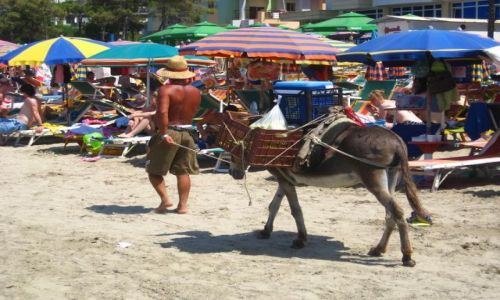 Zdjęcie ALBANIA / Durres / Plazh / Sprzedawca owoców