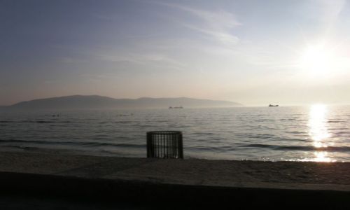 Zdjęcie ALBANIA / Bałkany / Vlora / jedenz licznych