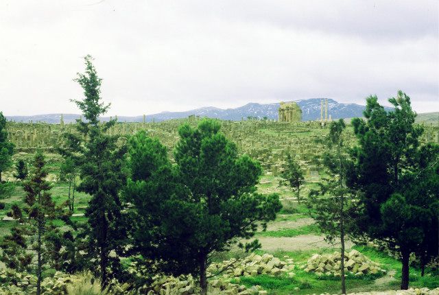 Zdjęcia: timgad, wschód, timgad- widok, ALGIERIA Zdjęcia: timgad, wschód, timgad- widok, ALGIERIA