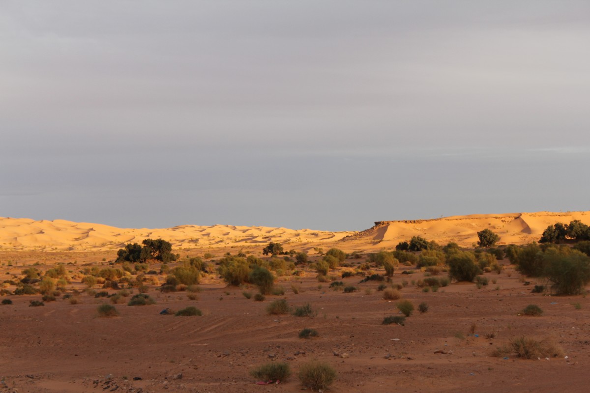 Zdjęcia: Bechar, Sahara poludniowa, sloncem malowane, ALGIERIA Zdjęcia: Bechar, Sahara poludniowa, sloncem malowane, ALGIERIA