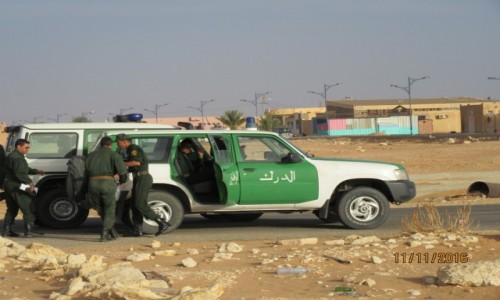 Zdjęcie ALGIERIA / Ouargia / Ouargia / Algieria