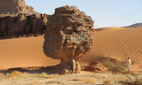 Zdjecie ALGIERIA / Sahara / Sahara / Algieria  -  Sahara