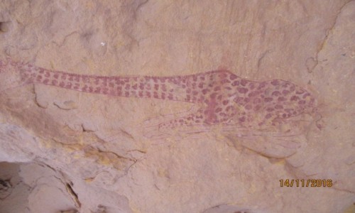 Zdjęcie ALGIERIA / Algieria Sahara / Algieria Sahara / Rysunki naskalne-Sahara