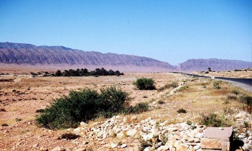 Zdjęcie ALGIERIA / wrota pustyni / południe / El Kantara