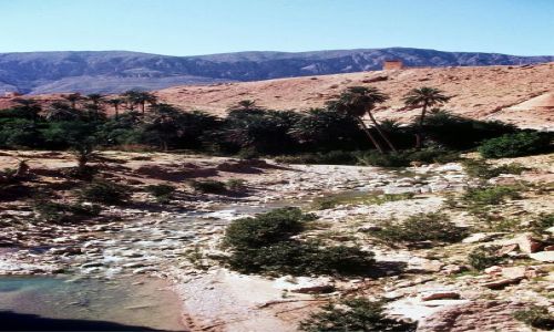 Zdjęcie ALGIERIA / wrota pustyni / południe / El Kantara