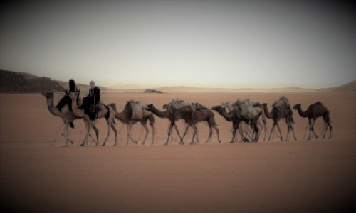 Zdjecie ALGIERIA / Sahara / Tadrart / 9 dni w 7 niebie: Ile ng ma wielbd?