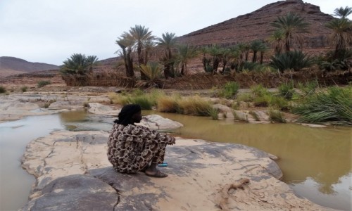 Zdjecie ALGIERIA / Sahara / Tadrart / 9 dni w 7 niebie: Chwila zadumy