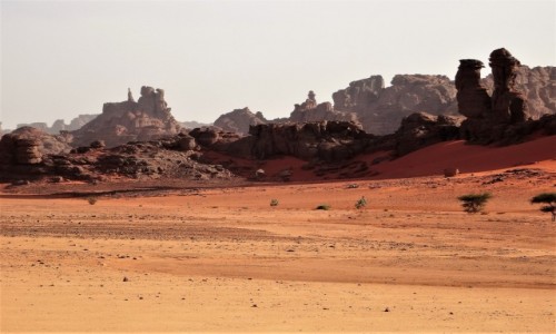 Zdjecie ALGIERIA / Sahara / Tadrart / 9 dni w 7 niebie: Las skalnych iglic