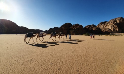 Zdjcie ALGIERIA / Illizi  / Sahara  / Karawana 