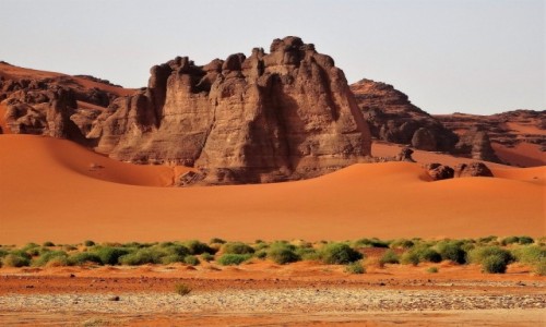 Zdjecie ALGIERIA / Sahara / Tadrart / 9  dni w  sidmym niebie