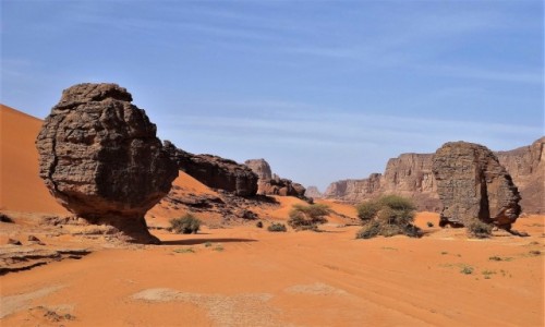 Zdjecie ALGIERIA / Sahara / Tadrart / 9 dni w 7 niebie