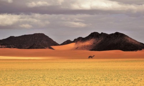 Zdjecie ALGIERIA / Sahara / Po drodze do Merzouga / 9 dni w 7 niebie: samotno przed burz