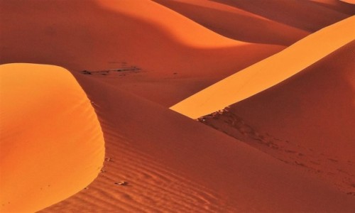 Zdjcie ALGIERIA / Sahara / Tin Merzouga / 9 dni w 7 niebie - poranek 8.47