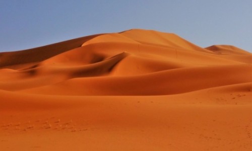 Zdjcie ALGIERIA / Sahara / Tin Merzouga / 9  dni w  sidmym niebie: Jaka pikna piaskownica!