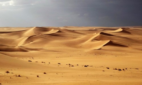 Zdjecie ALGIERIA / Sahara / Tin Merzouga / 9  dni w  sidmym niebie: po burzy