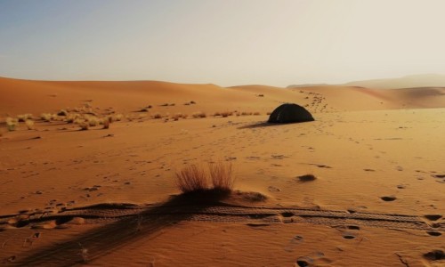 Zdjcie ALGIERIA / Sahara / Tin Merzouga / O brzasku
