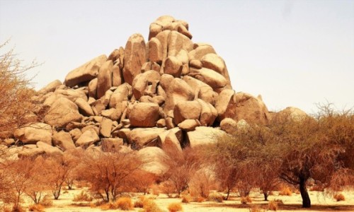 Zdjcie ALGIERIA / Sahara / Okolice Tamanrasset / Natura zaszalaa i uoya gry z ... kamieni
