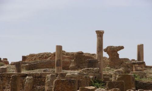 Zdjcie ALGIERIA / Timgad / Timgad / ruiny rzymskiego miasta
