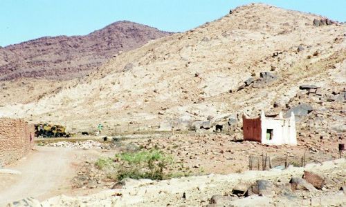 Zdjęcie ALGIERIA / południe / pod Touggurtem / osada z marabutem