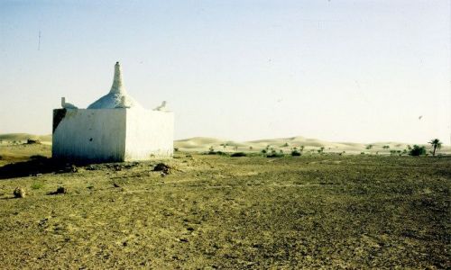 Zdjęcie ALGIERIA / południe / pod Touggurtem / marabut pustelnik