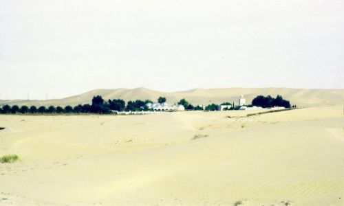 Zdjecie ALGIERIA / południe / el Oued / el Oued