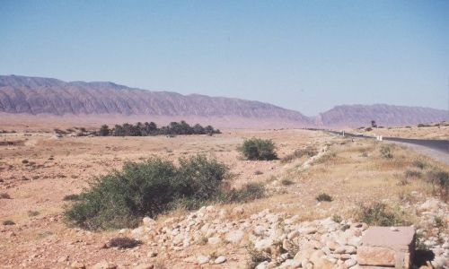 Zdjęcie ALGIERIA / południe / el Kantara / el Kantara od południa