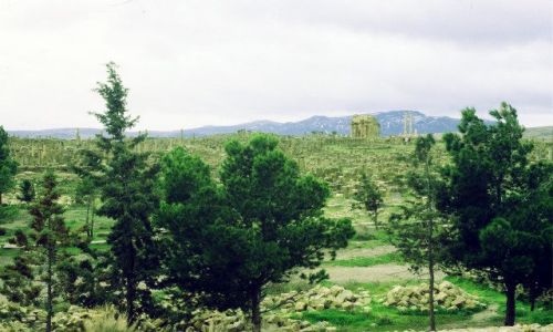 Zdjcie ALGIERIA / wschd / timgad / timgad- widok