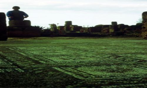 Zdjęcie ALGIERIA / wschód / tipaza / Tipaza- mozaiki