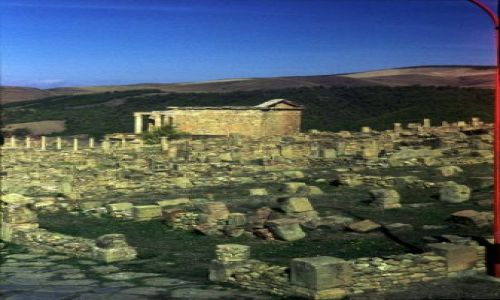 Zdjęcie ALGIERIA / wschód / Djamila / Djamila