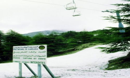 Zdjęcie ALGIERIA / wschód, / Tikjda / w górach djordjoura