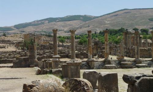 ALGIERIA / - / Djemila / Forum