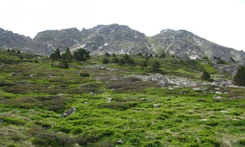 Zdjęcie ANDORA / Pireneje / hala Manegor / w drodze na przełęcz d'Incles