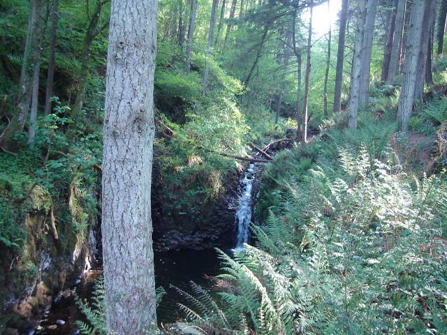 Zdjęcia: Hrabstwo Antrim, Irlandia Pn., Zielona Irlandia :), ANGLIA Zdjęcia: Hrabstwo Antrim, Irlandia Pn., Zielona Irlandia :), ANGLIA
