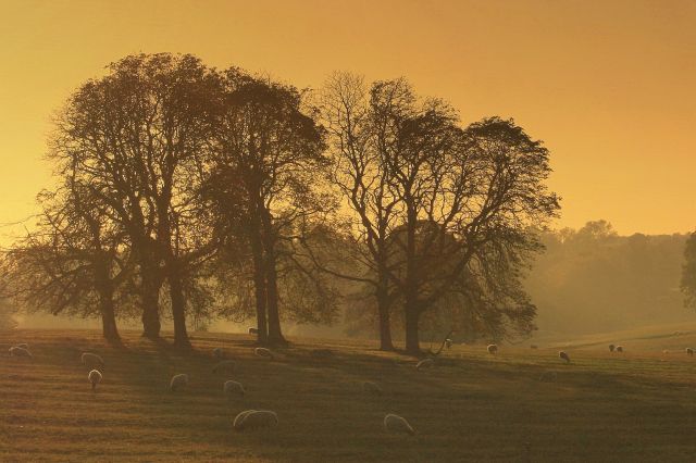 Zdjęcia: Geddington, East Midlands, Farmland sunset, ANGLIA Zdjęcia: Geddington, East Midlands, Farmland sunset, ANGLIA