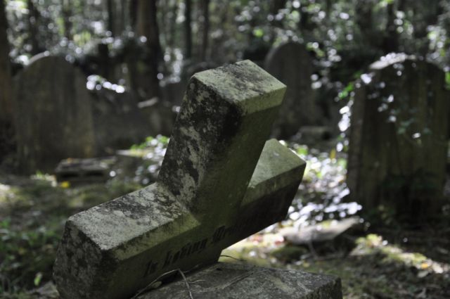 Zdjęcia: Highgate Cemetery , Cross, ANGLIA Zdjęcia: Highgate Cemetery , Cross, ANGLIA
