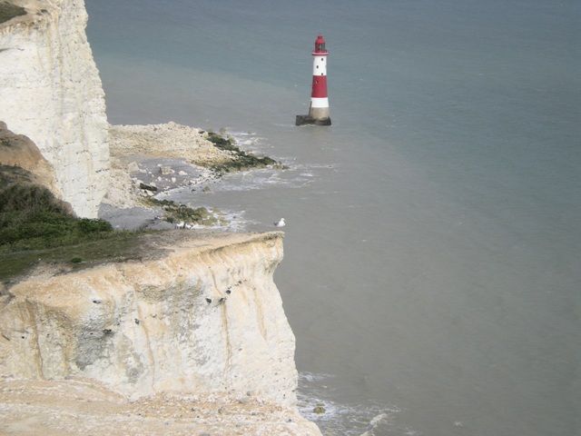 Zdjęcia: Eastbourne, East Sussex, mewa, ANGLIA Zdjęcia: Eastbourne, East Sussex, mewa, ANGLIA